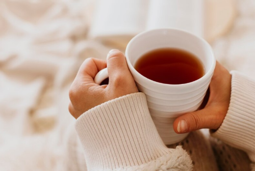 상황버섯 효능 부작용