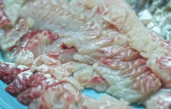 여름 회 추천과 여름철 횟감 여름 제철 회와 생선 정보_7