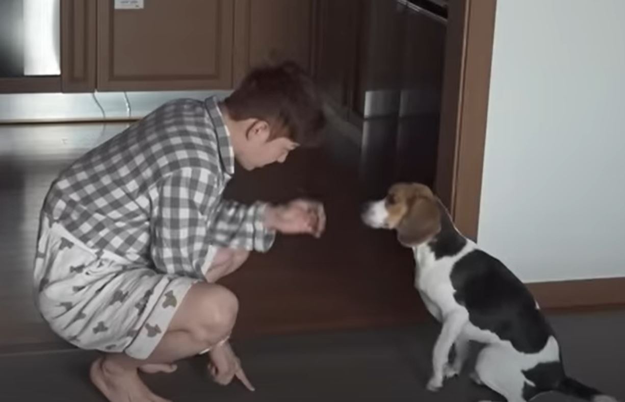 이창섭과 반려견 구리