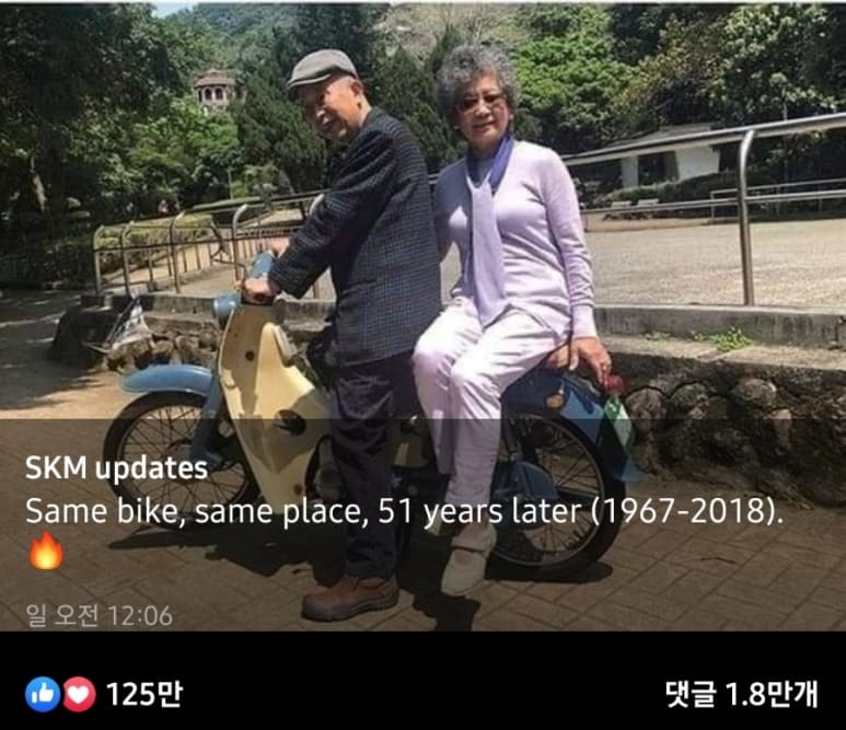 일본에서나 가능한 일