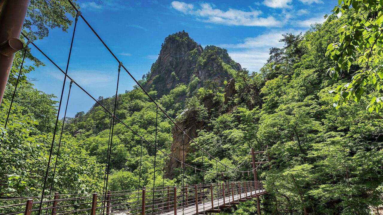 계곡트래킹코스