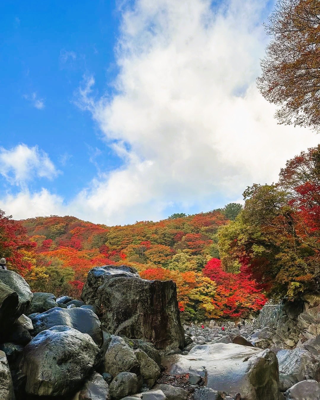천아숲길(천아계곡)