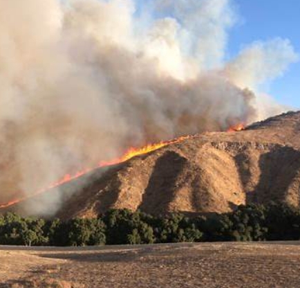LA 산불 원인 산불지역 지도 위치 진화현황 산불 피해액