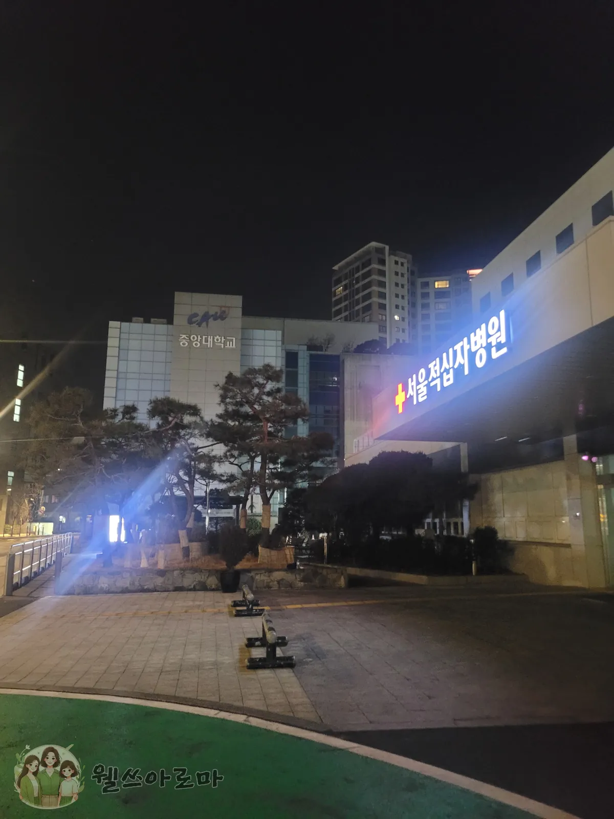 새벽-서울적십자병원-응급실_photo