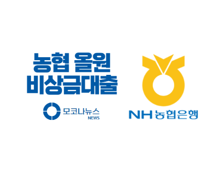 농협 비상금대출