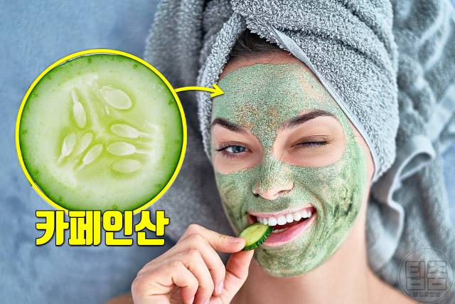 오이 효능 피부진정 오이 매일 먹으면