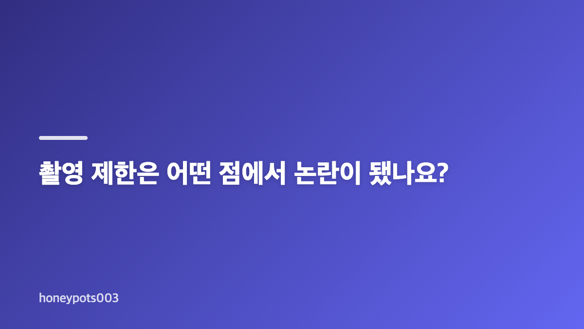 Ado 엔딩 무대와 촬영 금지 논란의 핵심