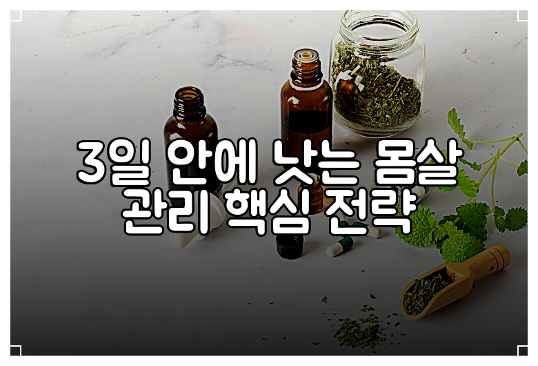 3일 안에 낫는 몸살 관리 핵심 전략