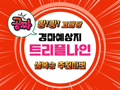 고배당 삼복승 추천마권 트리플나인 무료 경마예상지