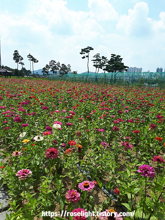 예쁜 순우리말 국어 어휘 단어