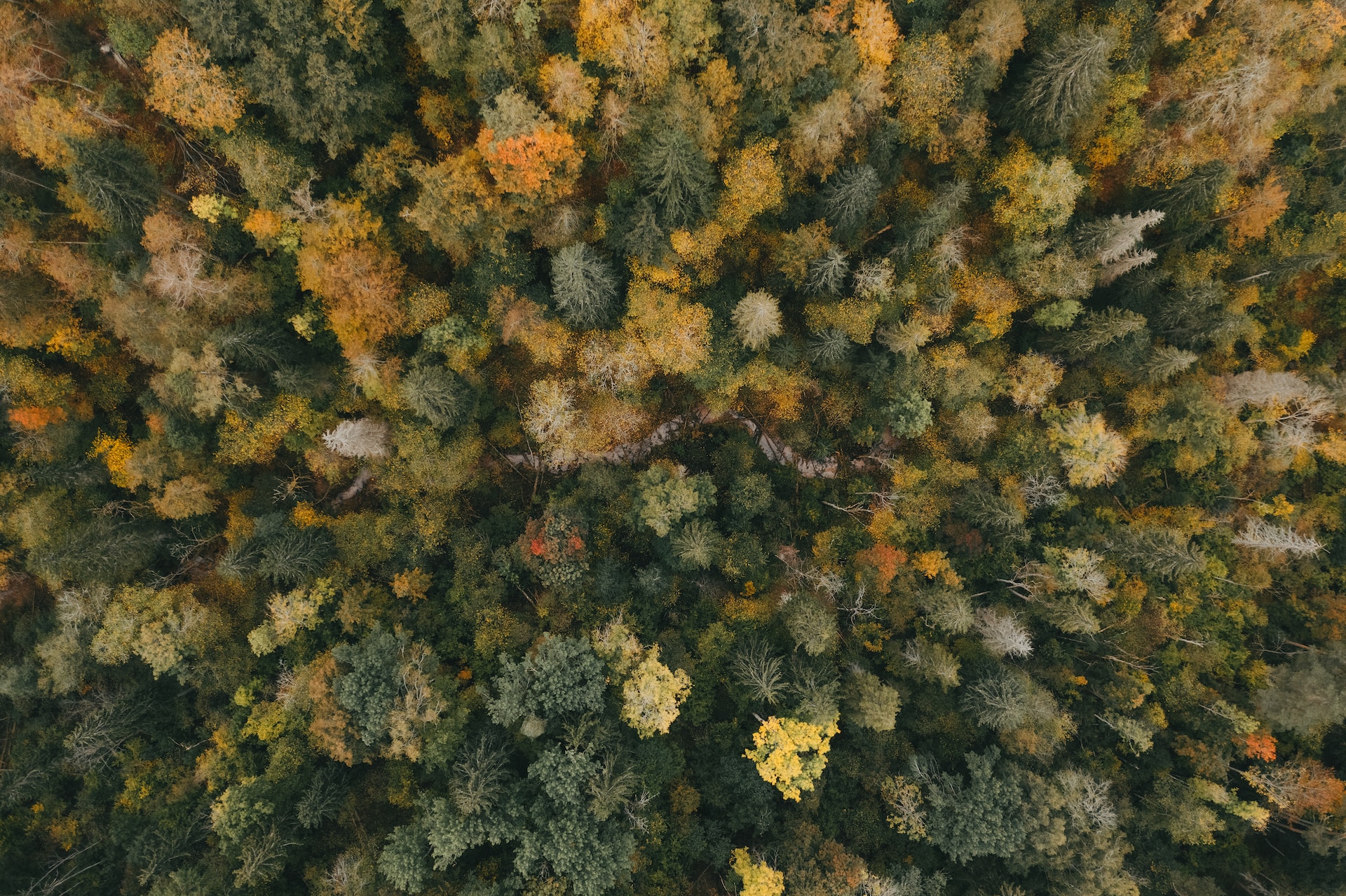 오늘의 대출 목록 - 노랜드&#44; 백 오피스&#44; 아주 사적인 여행&#44; 좋은 곳에서 만나요