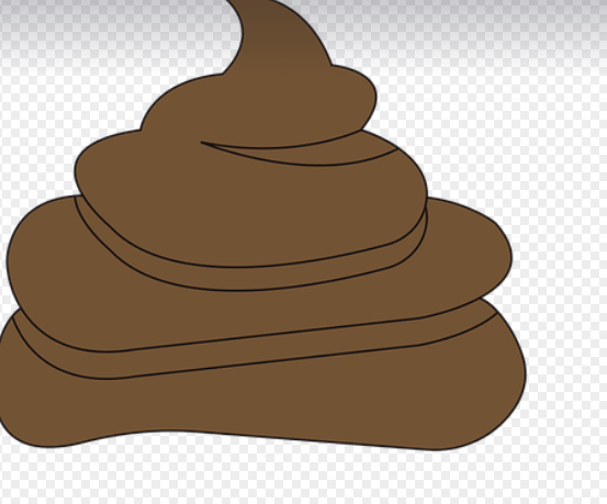 똥꿈 해몽 풀이