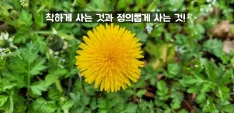 좋은 것의 정의와 그에 대한 다양하고 폭넓은 철학적 관점_11