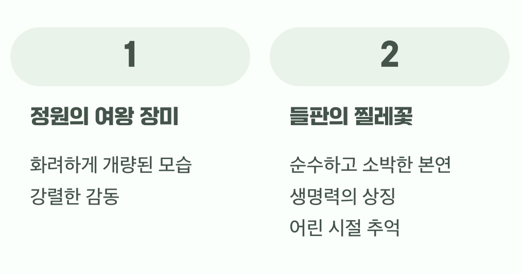 화려함과 소박함, 각자의 매력