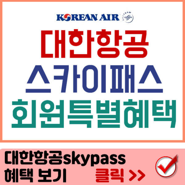 대한항공 스카이패스 회원 혜택 보기