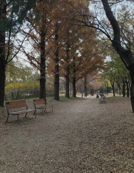 서울숲
