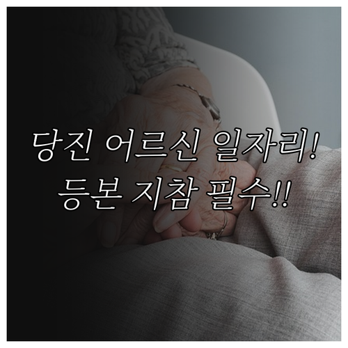 당진 어르신 맞춤형 일자리 모집 요강..