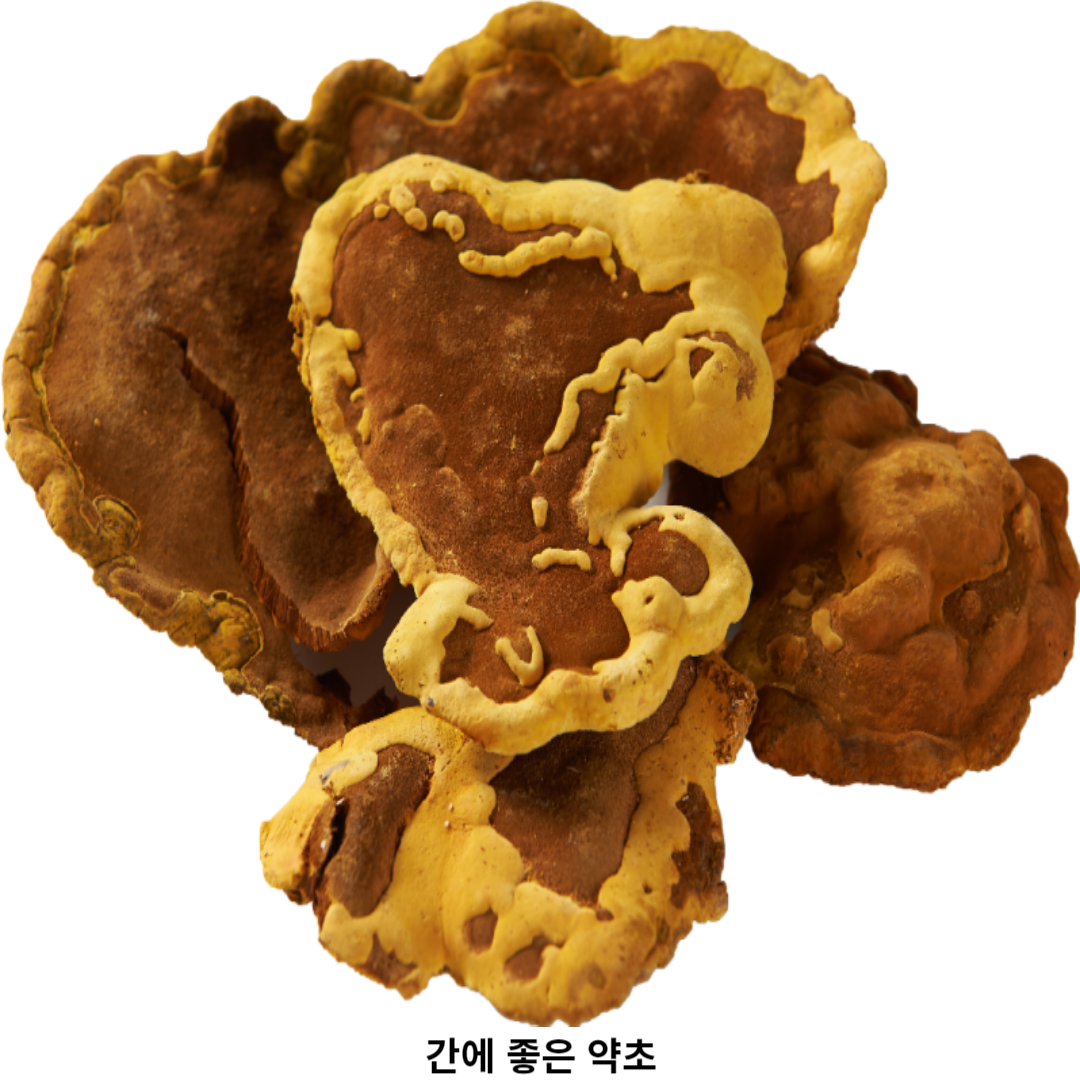 우엉