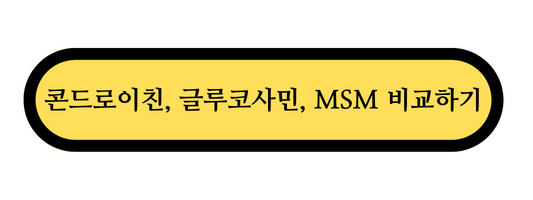 관절염 추천 영양제