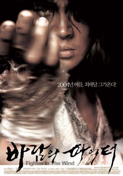 바람의 파이터 네이버영화