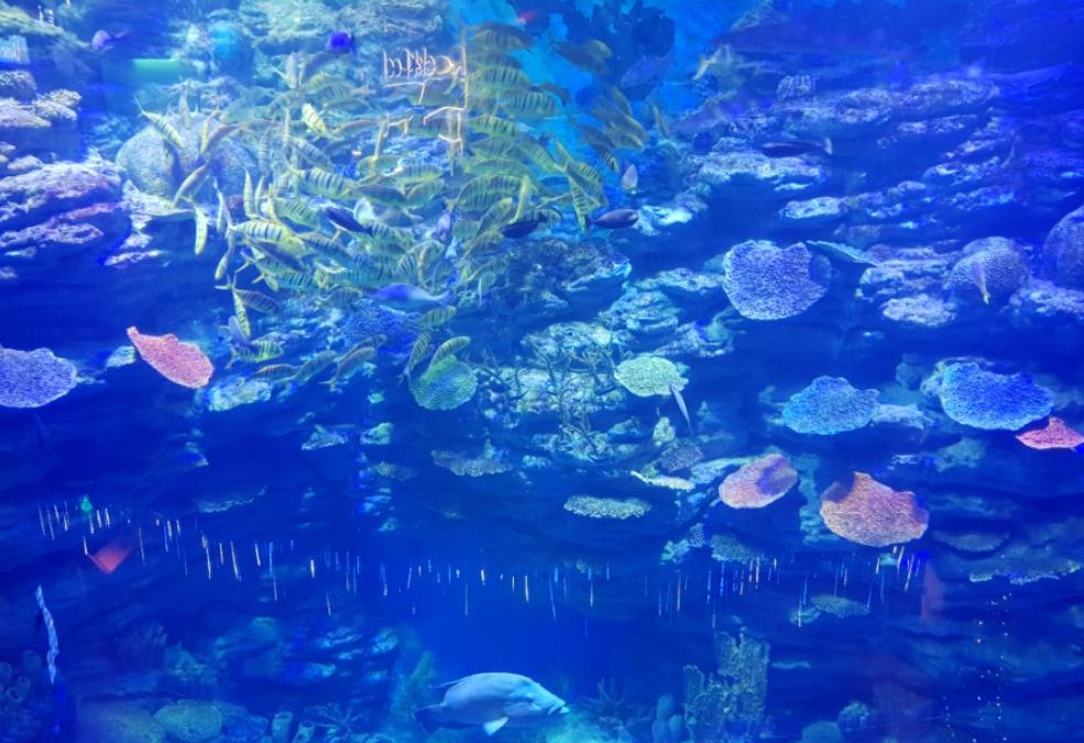 부산 가볼만한곳 베스트 10