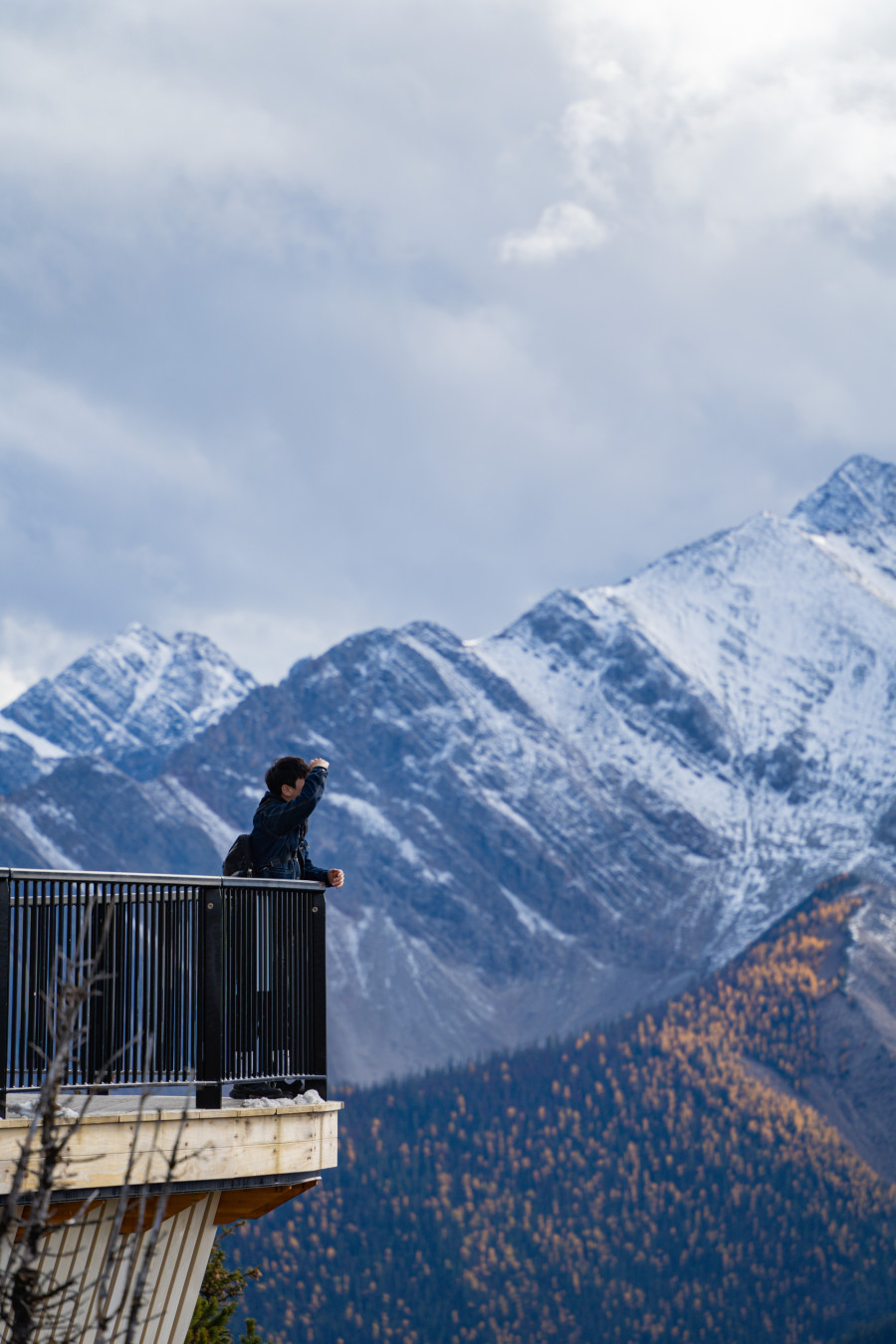 캐나다 밴프 곤돌라 정상