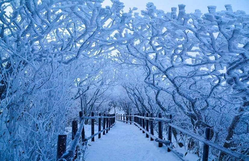 덕유산 케이블카