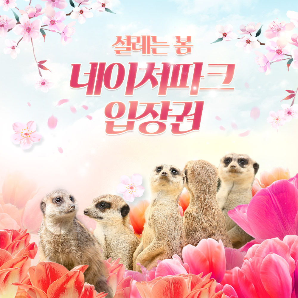 2025년 전국 벚꽃 축제 베스트 10 ❘ 놓치면 후회할 벚꽃 명소