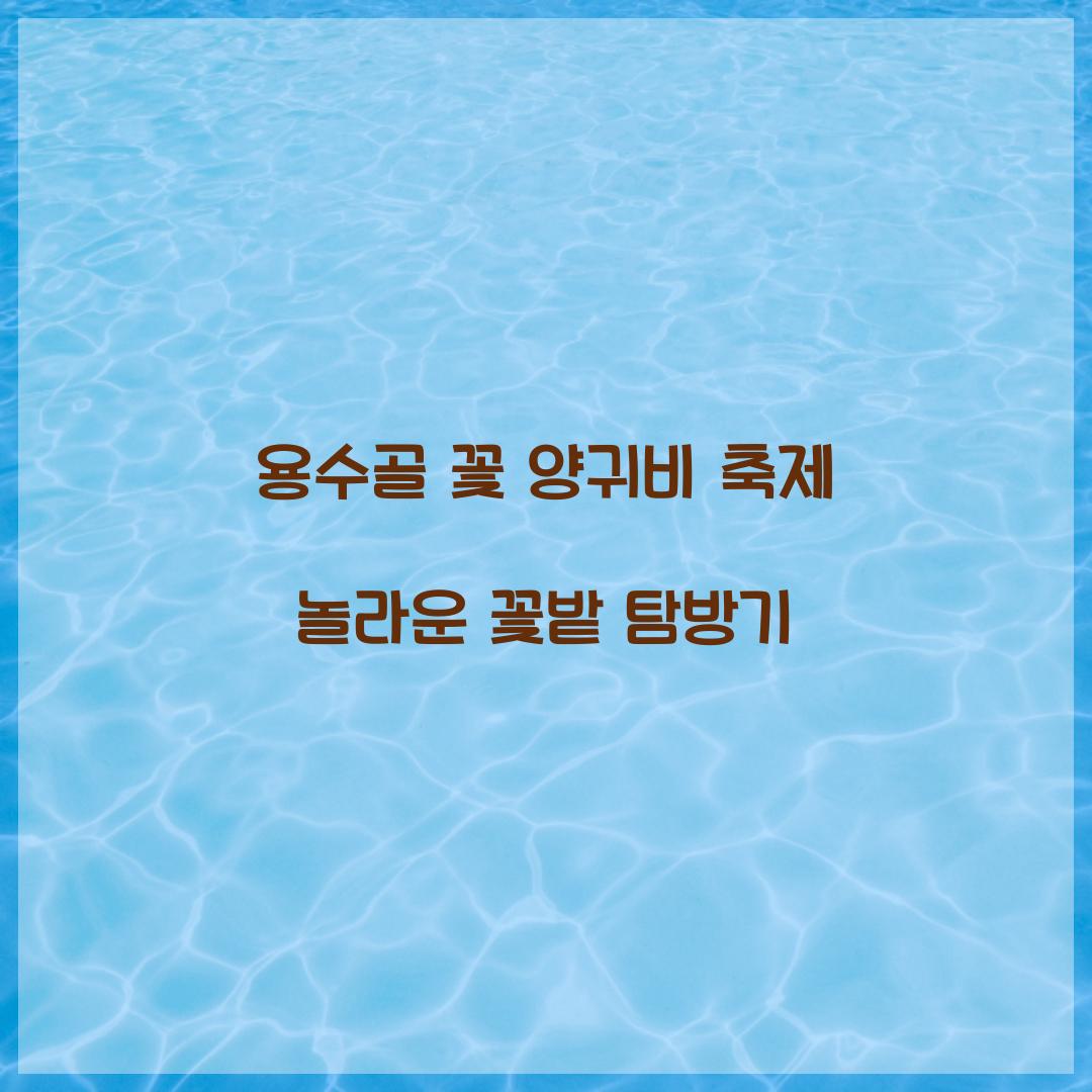 용수골 꽃 양귀비 축제