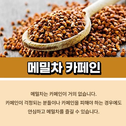 메밀차 카페인