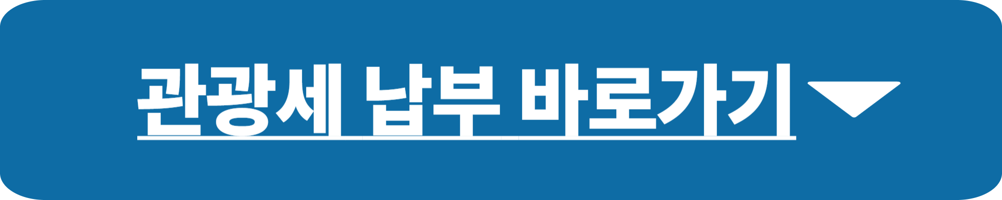 발리 관광세