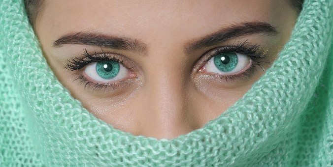 [건강기능식품의 효능] 눈건강, 눈기능, 시력저하의 원인, 개선방법, 눈건강, 시력개선에 좋은 음식 원료