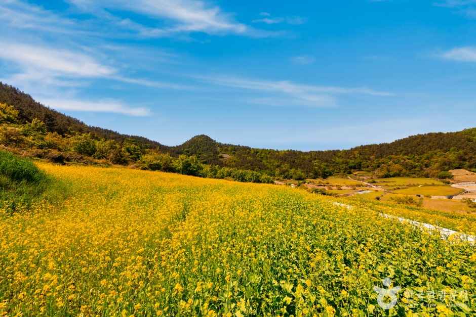 장흥 선학동마을