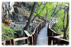 괴산호
