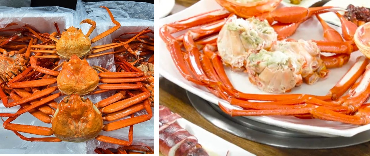 백반기행 울진 맛집 후포시장수산 붉은대게 사진