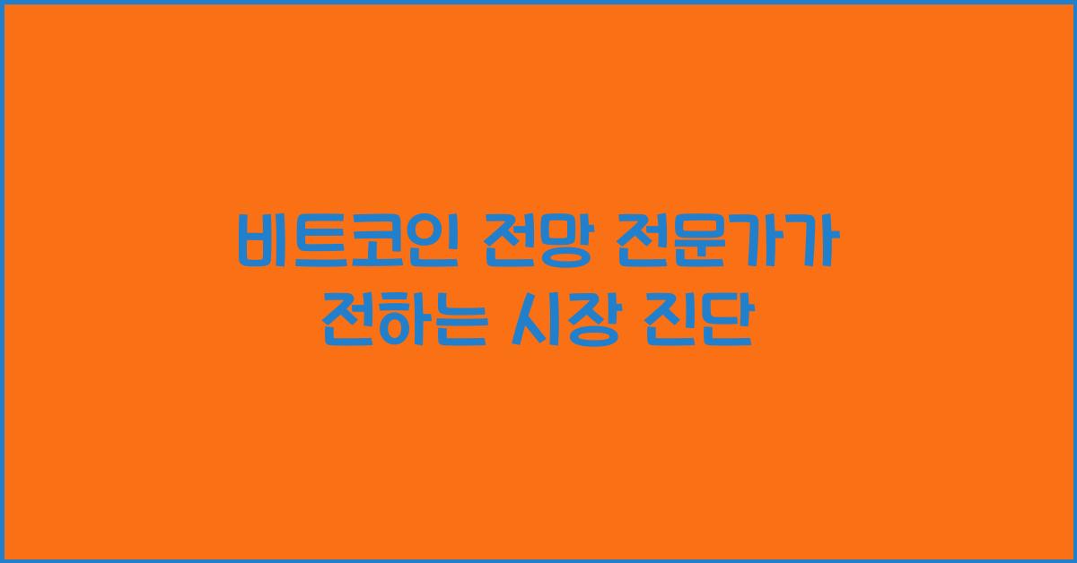 비트코인 전망 전문가