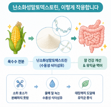 난소화성말토덱스트린-당뇨-효과-먹는법-성분-권장량-임산부
