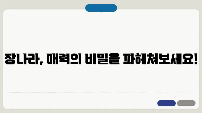 장나라 프로필 배우 정보