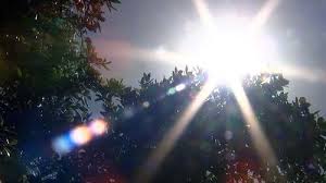 더위먹은 증상 쉽게 확인하는 방법