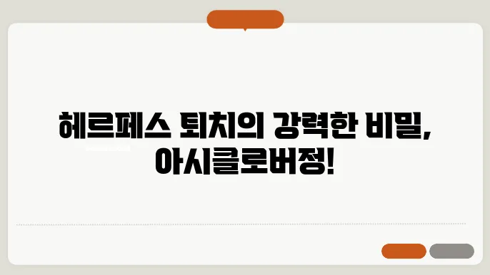 아시클로버정