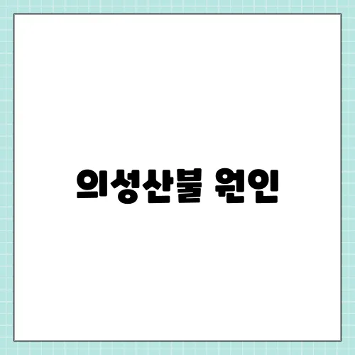 의성산불 원인, 최악의 산불 처벌 규정 벌금 성묘객 방화범