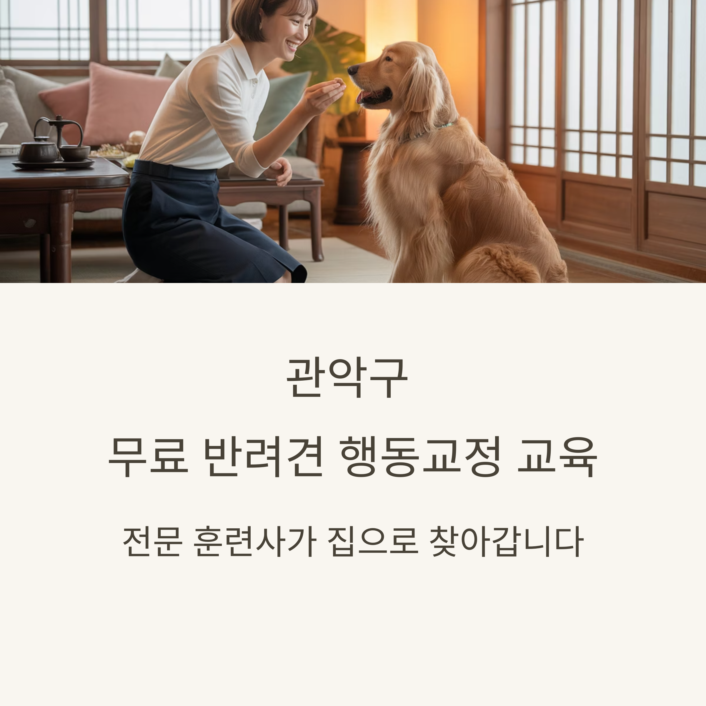관악구 무료 반려견 행동교정 교육
