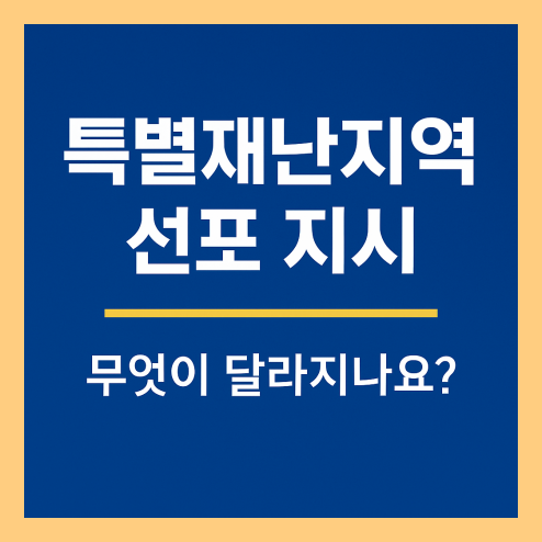 특별재난지역 선포 지시 기준, 정부와 지자체의 역할