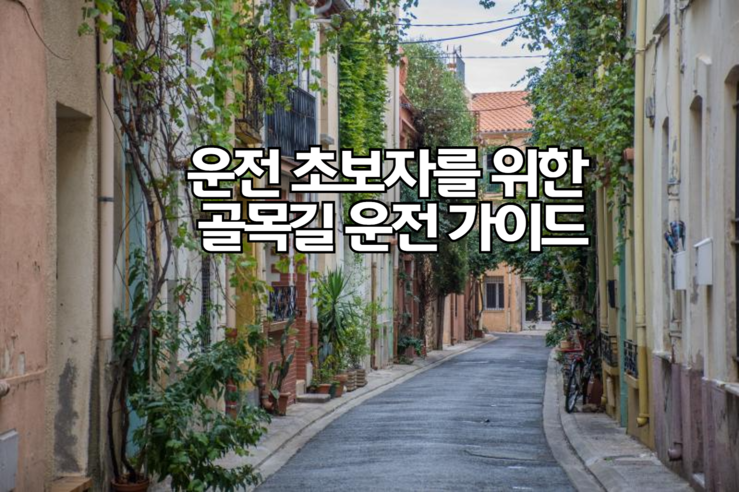 운전 초보자를 위한 골목길 운전 가이드