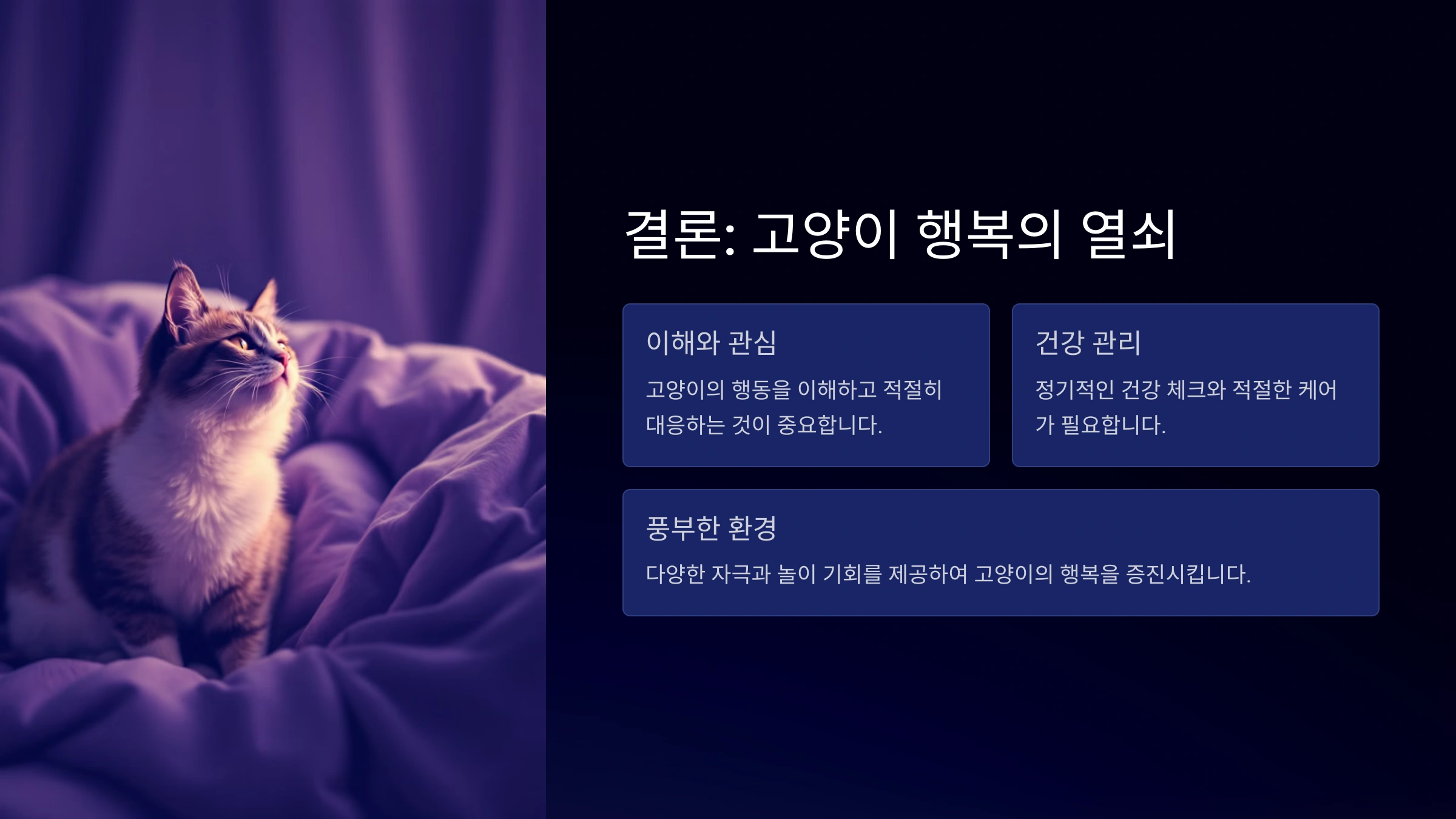 고양이가 꼬리를 물고 놀 때 숨겨진 의미