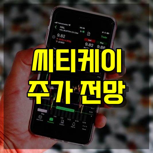 씨티케이 주가 전망