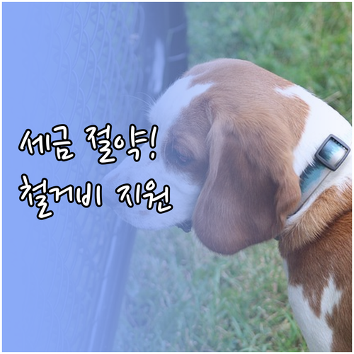 폐업 시 발생하는 세무 신고 비용 줄..