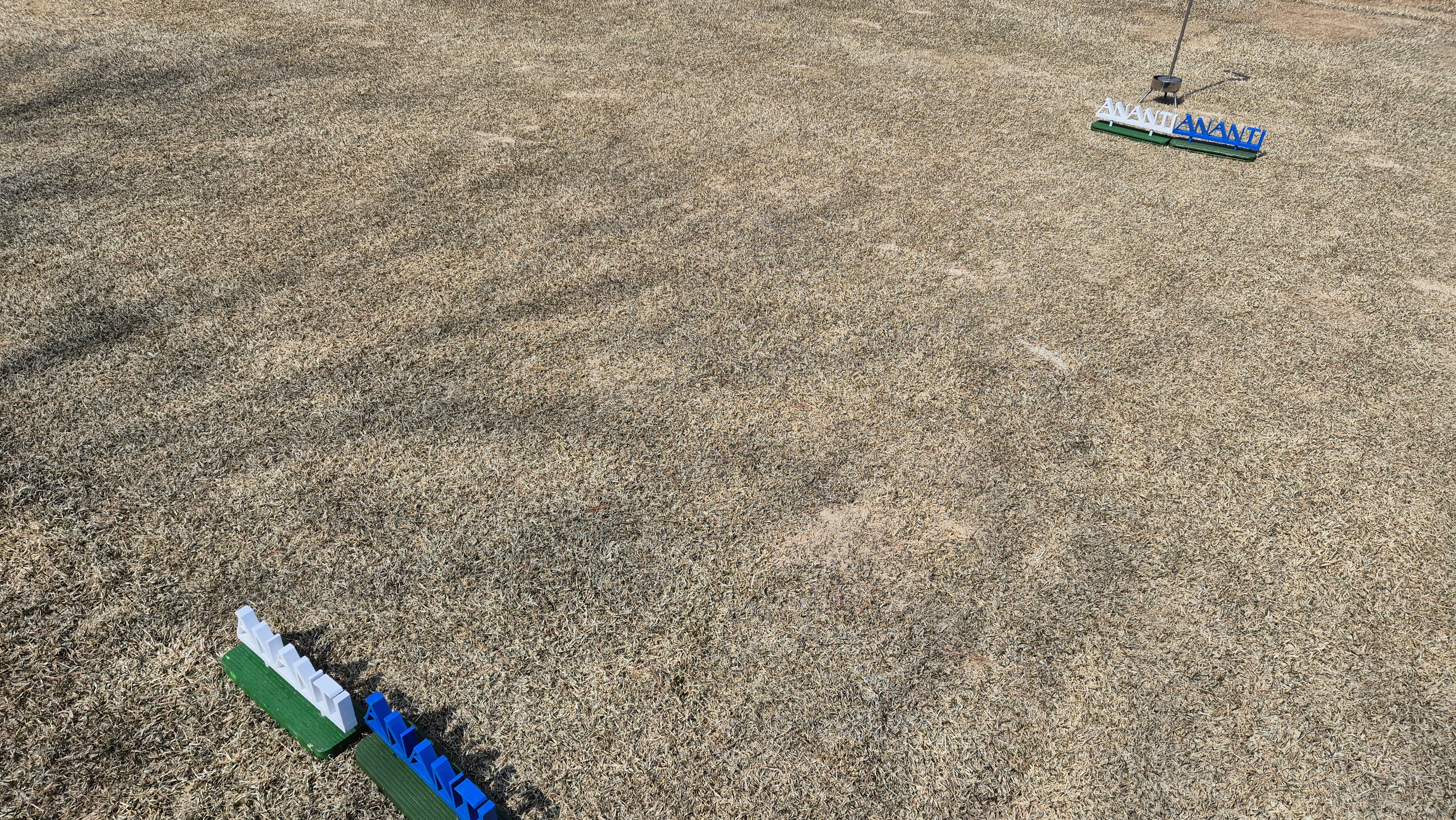 아난티코드gc 잣나무-느티나무 코스 티잉구역 상태