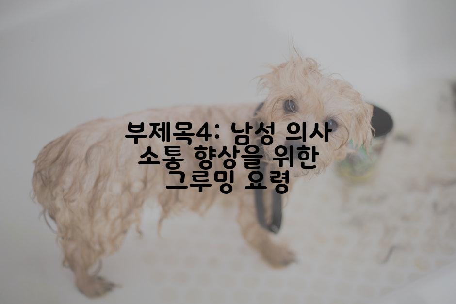 부제목4: 남성 의사 소통 향상을 위한 그루밍 요령