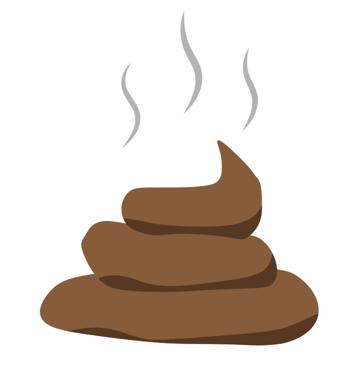 똥 꿈해몽 풀이